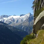 Zillertal - Schwemberger * Fügen